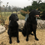 Fée und Bruder Tane