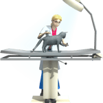 Meine tierischen Patienten & Ich 3D