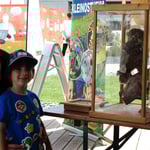 Eulen sind faszinierende Tiere und begeistern jung und alt