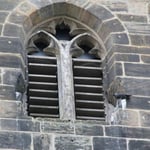 Dohle vor den Schall-Lamellen