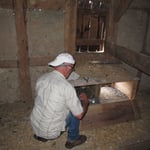 Schleiereulenkasten mit Jungtieren (Foto: LBV)