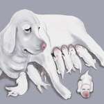 1829「母犬と子犬」作者：小雪0219