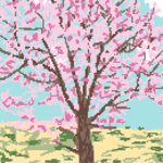 1570「さくら」作者：まかろんちゃん