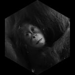 rigardo, basler zoo, zolli, gorilla, flusspferd, pelikane, loewen, fische, pinguine, koenigspinguine, eselpinguine, elefanten, afrika, 