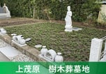 上茂原樹木葬