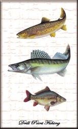 Drill Point Fishing Onlineshop, Unterkategorie, Accessoires, Fisch-Stickers & Fisch-Aufkleber