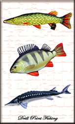 Drill Point Fishing Onlineshop, Unterkategorie, Accessoires, Stofftiere - Fisch Plüschtier