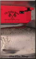 Drill Point Fishing Online Shop Unterkategorie Boot-& Schleppfischen / Schleppangeln - Zubehör - Produktangebote Sideplaner / Schleppbrättli / Planerboard