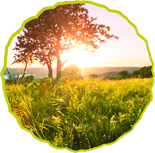 Ultra Endurance | Brevets | Ultradistanz