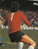 Torwarttrikot. Ohne Sponsor.