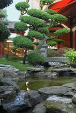 ''Japan-Alpin-Garden'' Gerda und Horst Schubert in Neuenburg