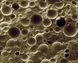 Glasbubbles unter Mikroskop