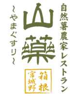 自然薯農家レストラン 山薬