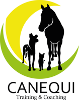 Coaching für Mensch und Tier