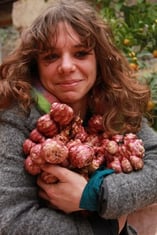manger local, végétarien, cru,crudivore,topinambour