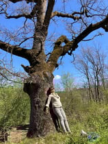 2027 Sommerwaldbaden (13 - 17 Uhr)