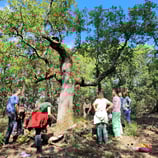 Individueller Termin ab 3 Personen, Kosten € 15,00/Person/90 Minuten