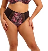 High Leg Brief in Dark Romance