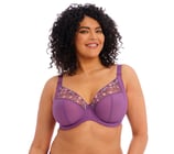 Charlie Pansy Plunge