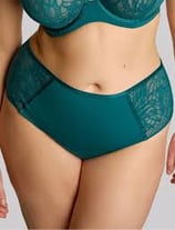 Sophia Deep Brief in Teal