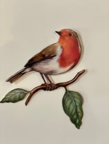 Rouge gorge de face sur branche