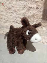 Porte clé " Anon du Baudet "