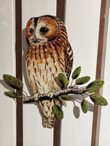 Chouette hulotte sur branche