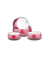 Pfötchennapf grapefruit