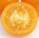 Mittelgroße Tomate "Goldene Königin"