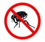 Antifloh/Zeckenmittel