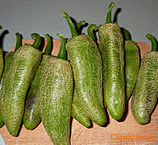 Jalapeño Potato Farmers Market - Sachet 10 graines