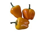 Poivron Mini Bell Jaune - Sachet 10 graines