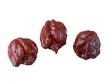 Trinidad Moruga Scorpion Chocolat - Sachet 10 graines