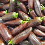 Jalapeño Brown - Sachet 10 graines