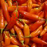 Aji Cristal - Sachet 10 graines