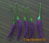 Cayenne Purple - Sachet 10 graines
