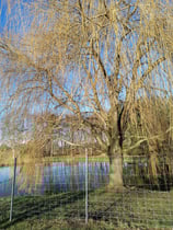 So., 22. März 2026 von 15 bis 16 Uhr