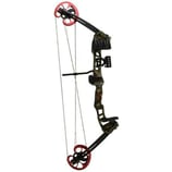 Arco professionale compound Barnett Vortex Hunter tiro a segno