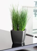 Quadro All Inclusive-Set Anthrazit