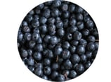 gefriergetrocknete Aronia Beere ganze Frucht