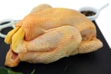 POULET FERMIER ORIGINE  Alsace