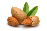 AMANDES