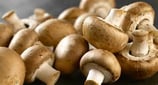Champignons de Paris Rosés Alsace