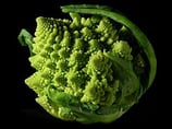 CHOU ROMANESCO