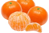 CLEMENTINE Origine Espagne