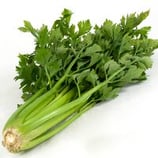 BOTTE DE CELERI BRANCHE