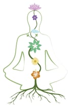 Online-Seminar "Psychohygiene in der feinstofflichen Tätigkeit"