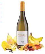 PRIMA FILA BIANCO CALABRIA  I.G.T. CALABRIA  TENUTA IUZZOLINI