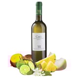 CIRO' D.O.C.BIANCO - TENUTA IUZZOLINI