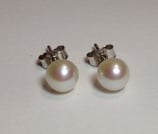 Ohrstecker WG 18K KP